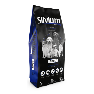 Silvium