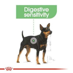 Royal Canin CCN Mini Digestive Care - Foto 1 | AlanDog