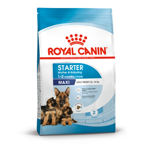 royal canin maxi starter crocchette