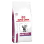 Royal Canin VHN Renal Special Gatto
