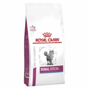 Royal Canin VHN Renal Special Gatto | AlanDog