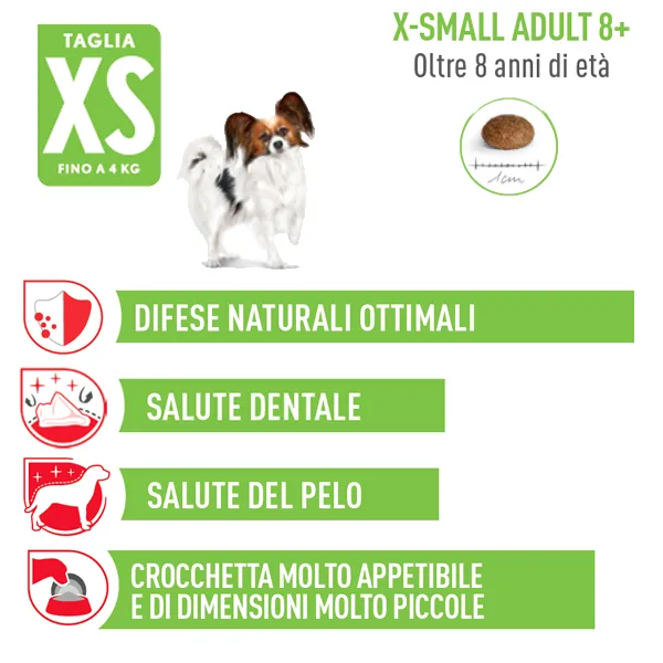 Royal Canin X-Small Adult 8+ - Foto 2 | AlanDog