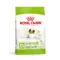 Royal Canin X-Small Ageing 12+ | AlanDog
