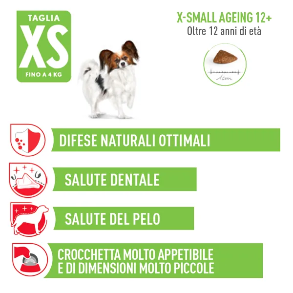 Royal Canin X-Small Ageing 12+ - Foto 3 | AlanDog