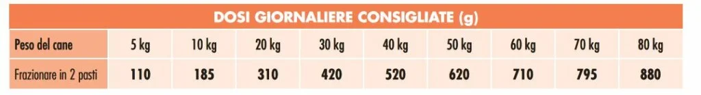 Gheda DOG&DOG Placido al Salmone 20 kg