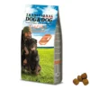 Gheda DOG&DOG Placido al Salmone 20 kg - Dog&Dog | AlanDog