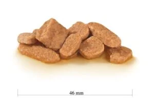 Royal Canin Mature Consult Gatto Bustine Umido