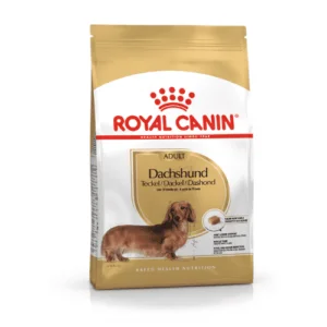 Dachshund_sacco