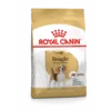 Royal Canin BHN Beagle Adult | AlanDog