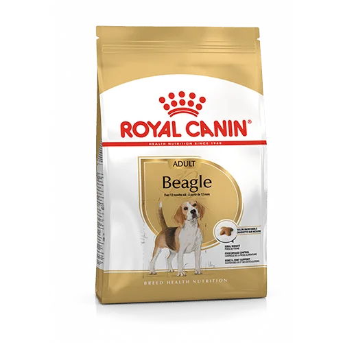 Royal Canin BHN Beagle Adult | AlanDog