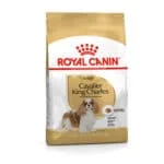 Royal Canin BHN Cavalier King