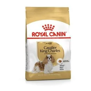 Royal Canin BHN Cavalier King