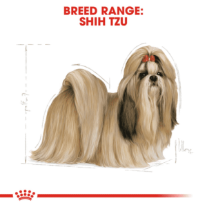 Shih_Tzu