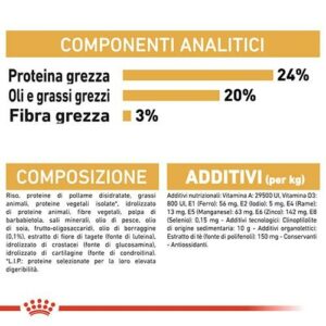 Royal Canin BHN Shih Tzu - Foto 1 | AlanDog