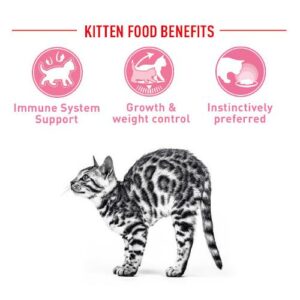 Royal Canin Sterilised Kitten Bustine SOL - Foto 1 | AlanDog