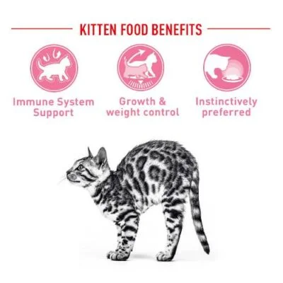 base-royal-canin-sterilised-kitten