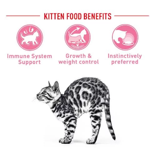 Royal Canin Sterilised Kitten Bustine SOL - Foto 1 | AlanDog