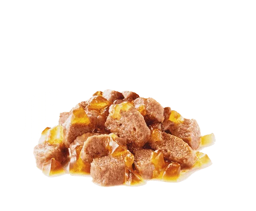 Royal Canin FCN WET Care Gatto Hair and Skin Bustine Umido - Foto 2 | AlanDog