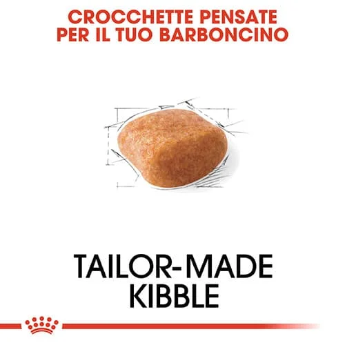 Royal Canin BHN Poodle - Foto 3 | AlanDog