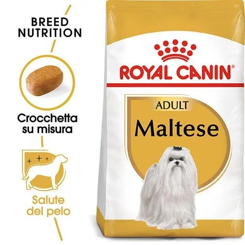Royal Canin BHN Maltese - Foto 4 | AlanDog