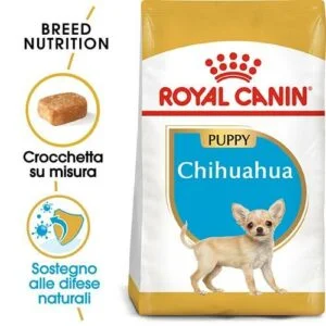 Royal Canin BHN Chihuahua Puppy - Foto 1 | AlanDog