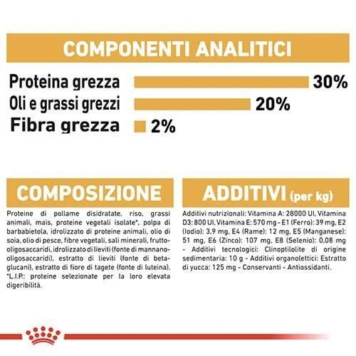 Royal Canin BHN Chihuahua Puppy - Foto 2 | AlanDog