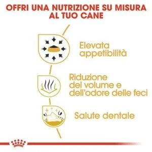 royal canin chihuahua adulto