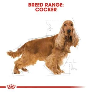 cocker-adult-royal-canin