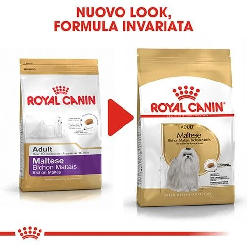Royal Canin BHN Maltese - Foto 2 | AlanDog