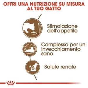 Royal Canin FHN Gatto Ageing 12+ - Foto 2 | AlanDog