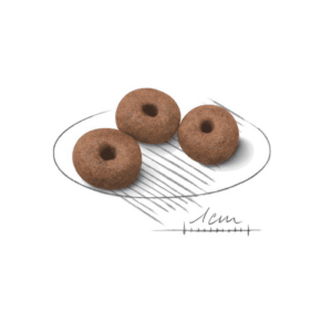 Royal Canin Giant Starter - Foto 1 | AlanDog