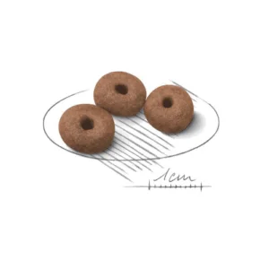 Royal Canin Giant Starter - Foto 1 | AlanDog