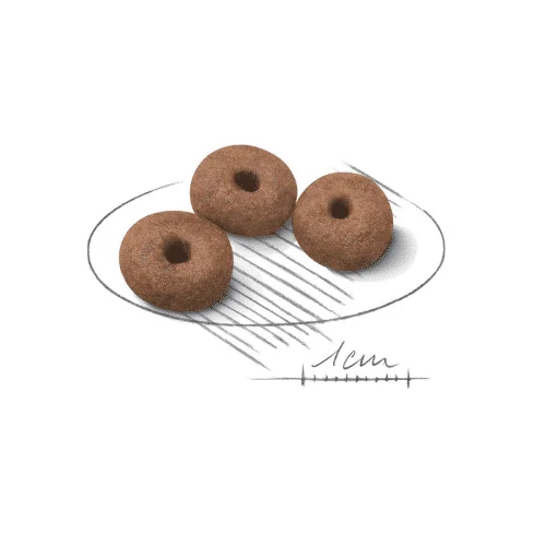 Royal Canin Giant Starter - Foto 1 | AlanDog