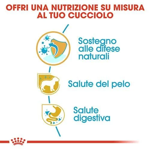 Royal Canin BHN Yorkshire Puppy - Foto 5 | AlanDog