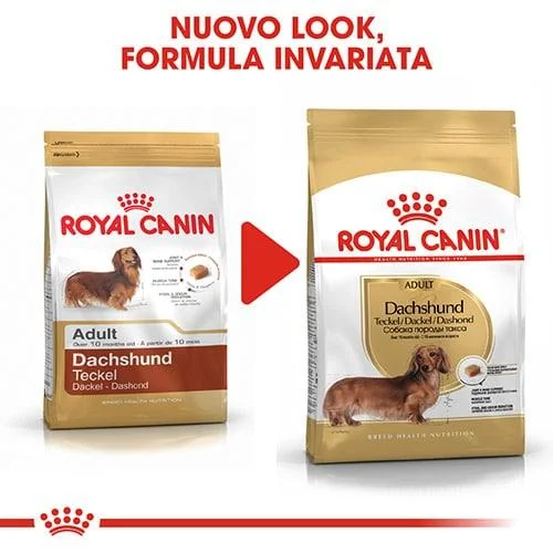 Royal Canin BHN Dachshund Adult - Foto 3 | AlanDog