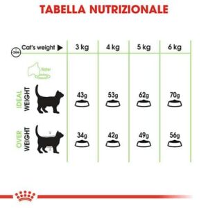Royal Canin FCN Digestive Care Gatto - Foto 1 | AlanDog