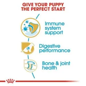 dog-german-shepherd-puppy-royal-canin