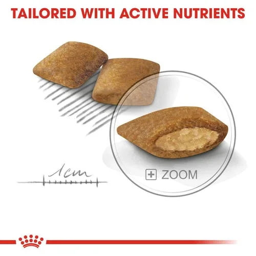 exigent-royal-canin-adult-secco-mini