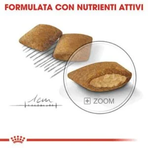 Royal Canin Mini Exigent - Foto 1 | AlanDog