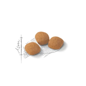 Royal Canin FHN Exigent Protein - Foto 1 | AlanDog