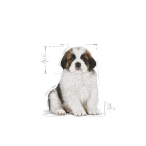 giant-puppy-royal-canin