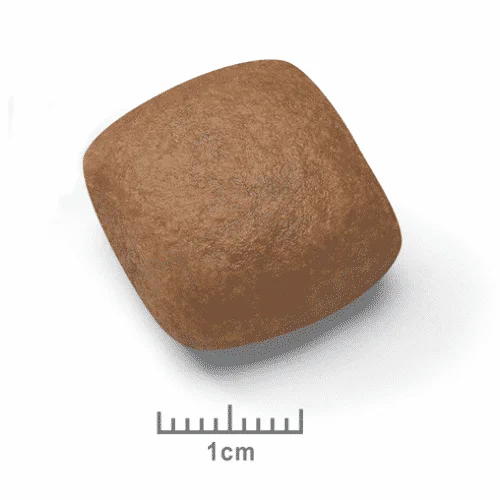 Royal Canin Giant Junior crocchette cucciolo - Foto 1 | AlanDog