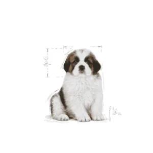 Royal Canin Giant Puppy - Foto 1 | AlanDog