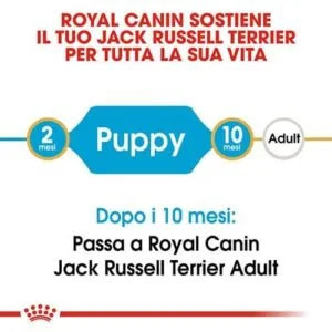 Royal Canin BHN Jack Russell Puppy - Foto 1 | AlanDog