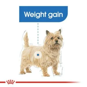 light-mini-care-royal-canin