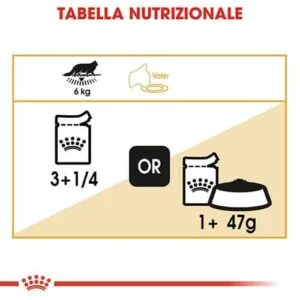 Royal Canin FBN WET Bustine Maine Coon - Foto 1 | AlanDog