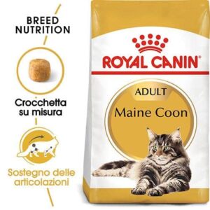 Royal Canin FBN Maine Coon - Foto 1 | AlanDog