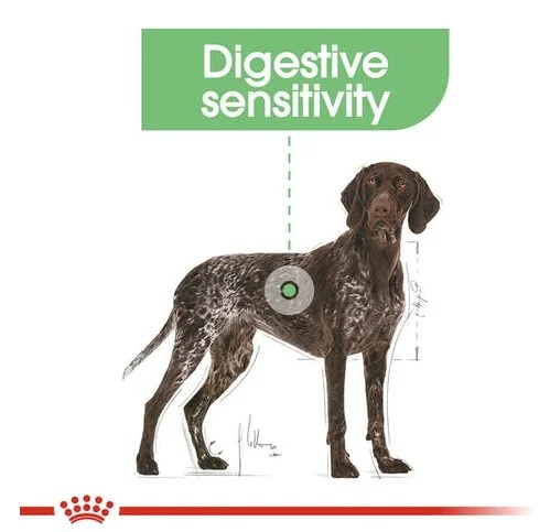 maxi-digestive-care-secco-royal-canin