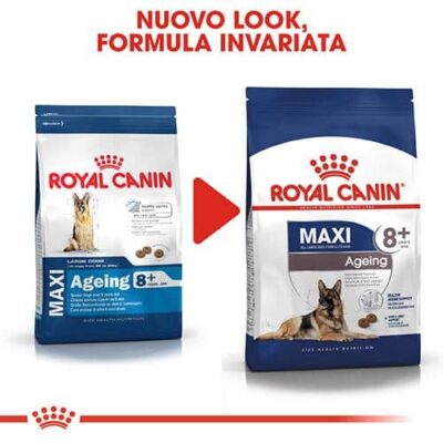 maxi_royal_canin