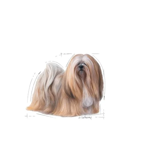 mini-exigent-dry-secco-royal-canin
